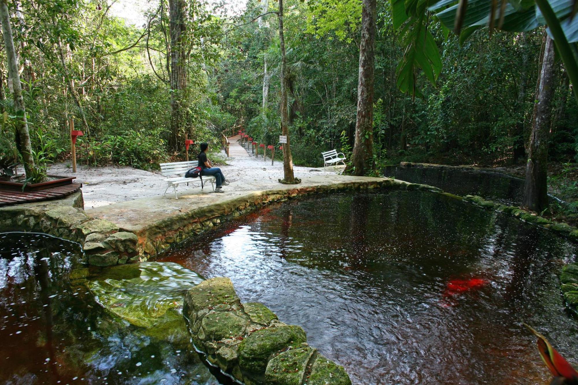 Amazon Ecopark Jungle Lodge Manaus Zewnętrze zdjęcie