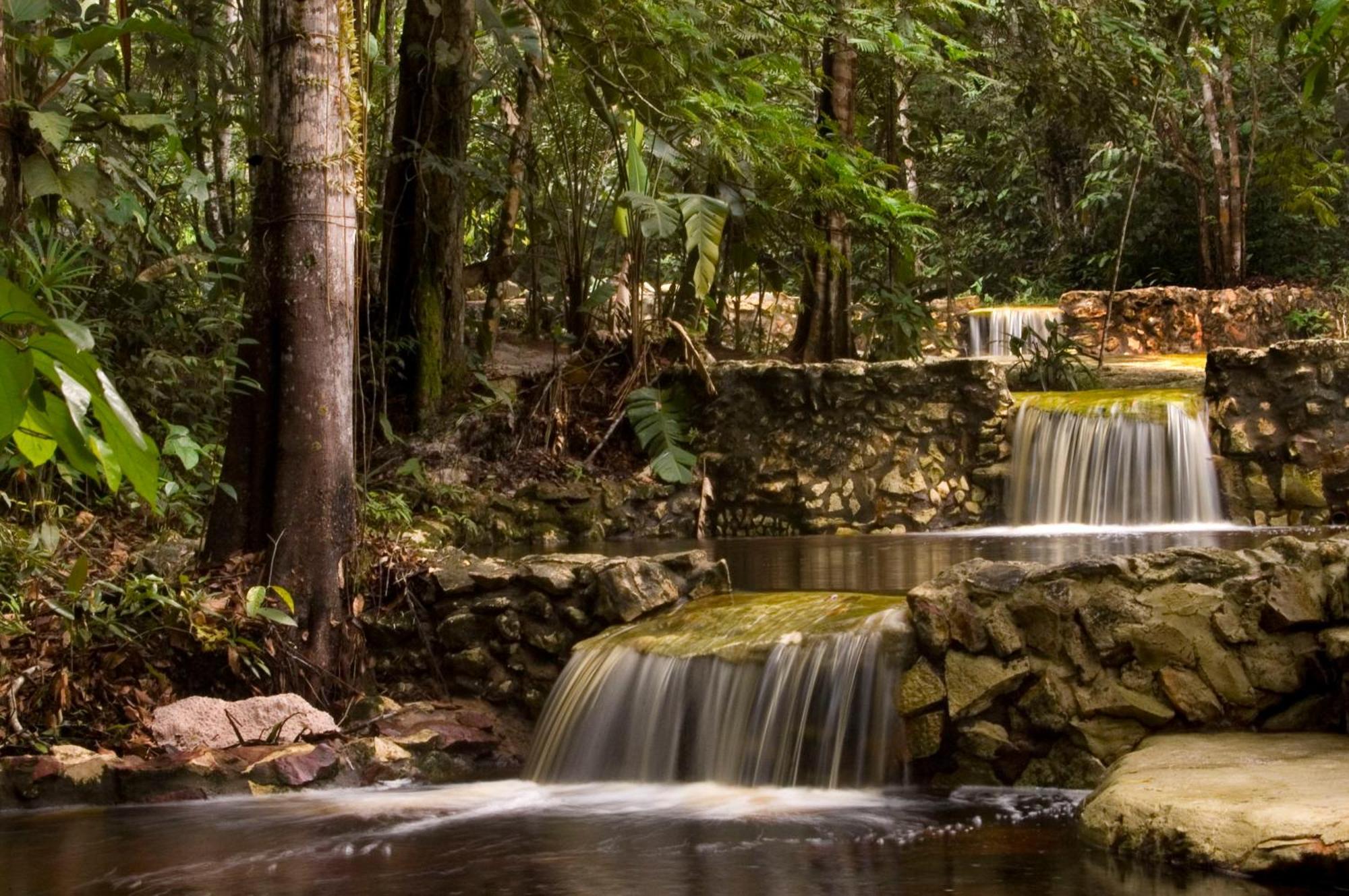 Amazon Ecopark Jungle Lodge Manaus Zewnętrze zdjęcie