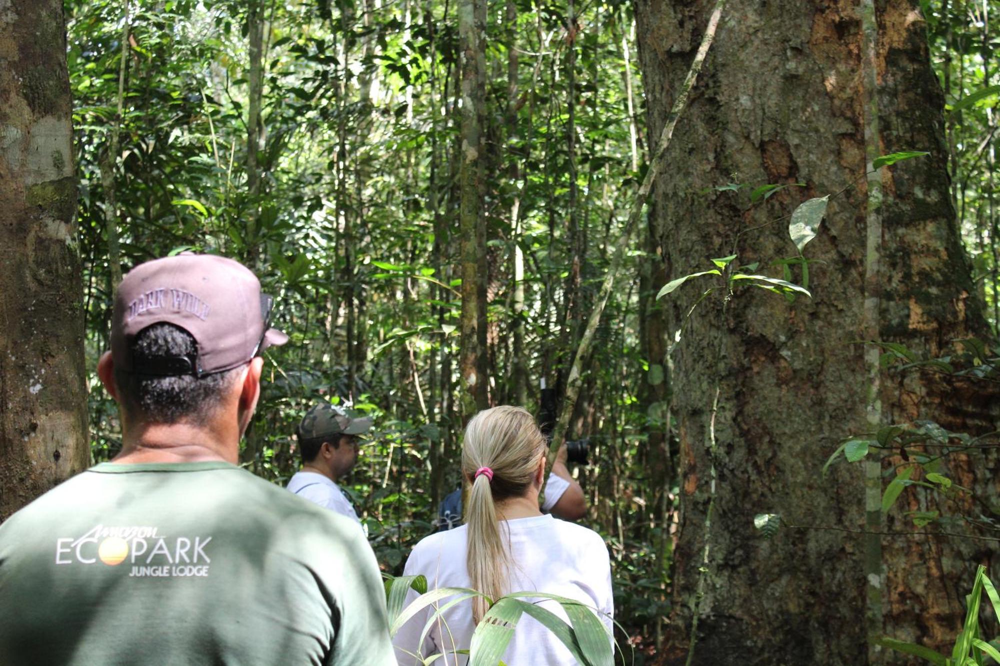 Amazon Ecopark Jungle Lodge Manaus Zewnętrze zdjęcie