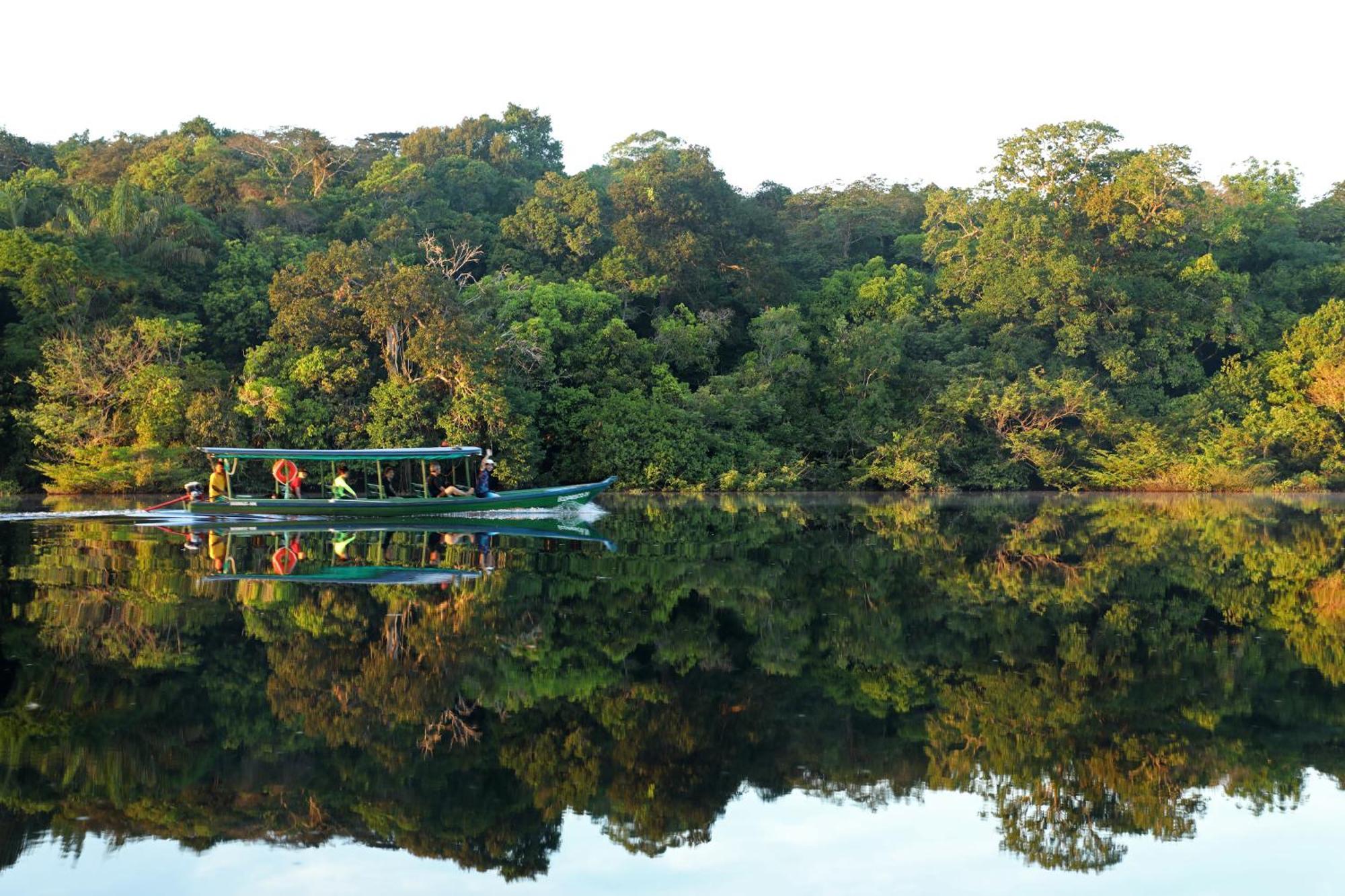 Amazon Ecopark Jungle Lodge Manaus Zewnętrze zdjęcie